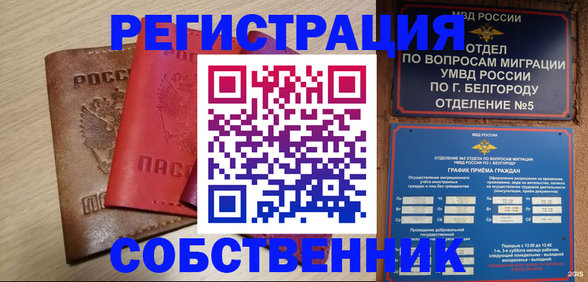 временная регистрация гарантия в Апатитах